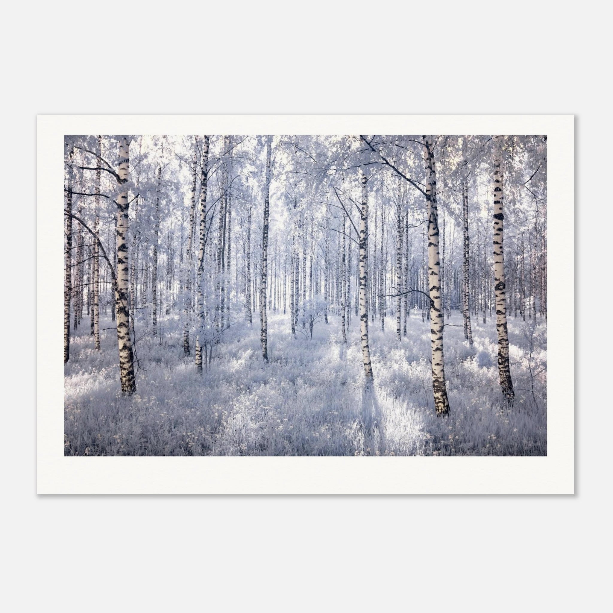 2d853871-e8be-45cc-86e3-4dab56850b2f