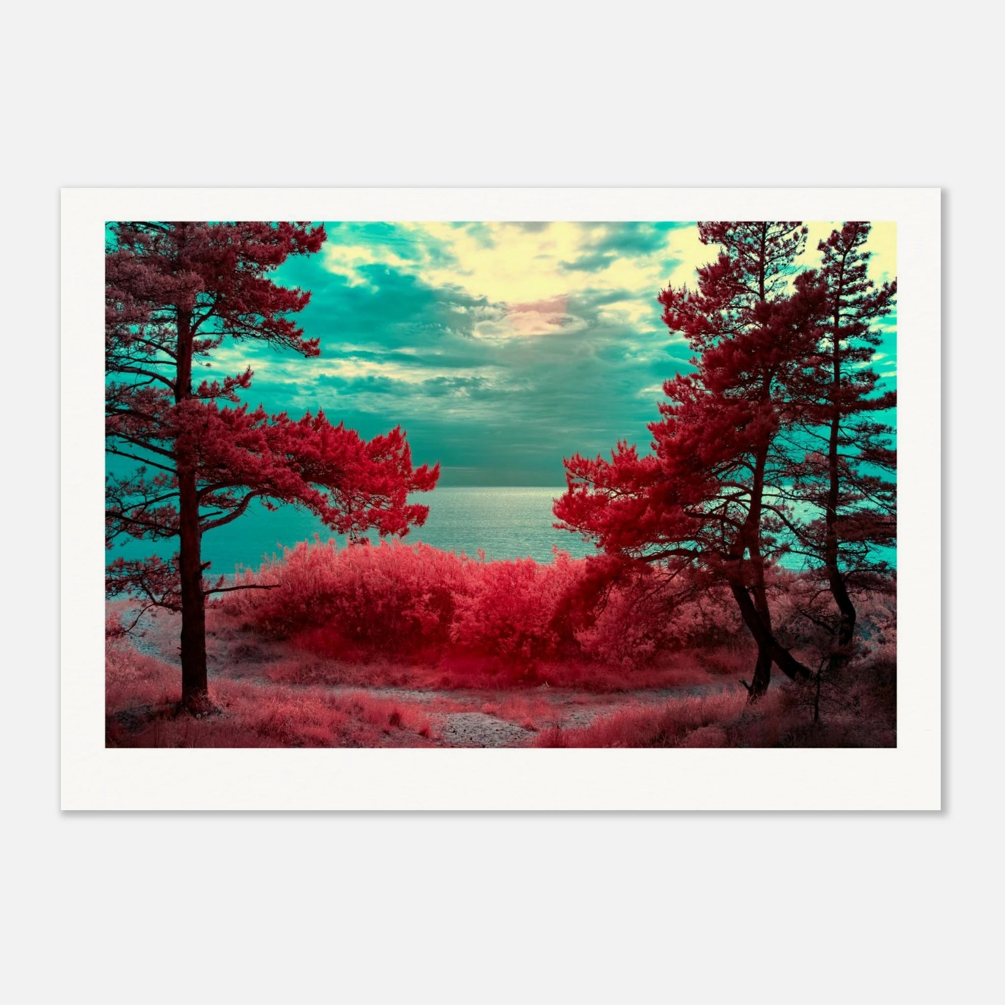 58e649d5-6b18-4ca7-90ff-bf86881fdc03