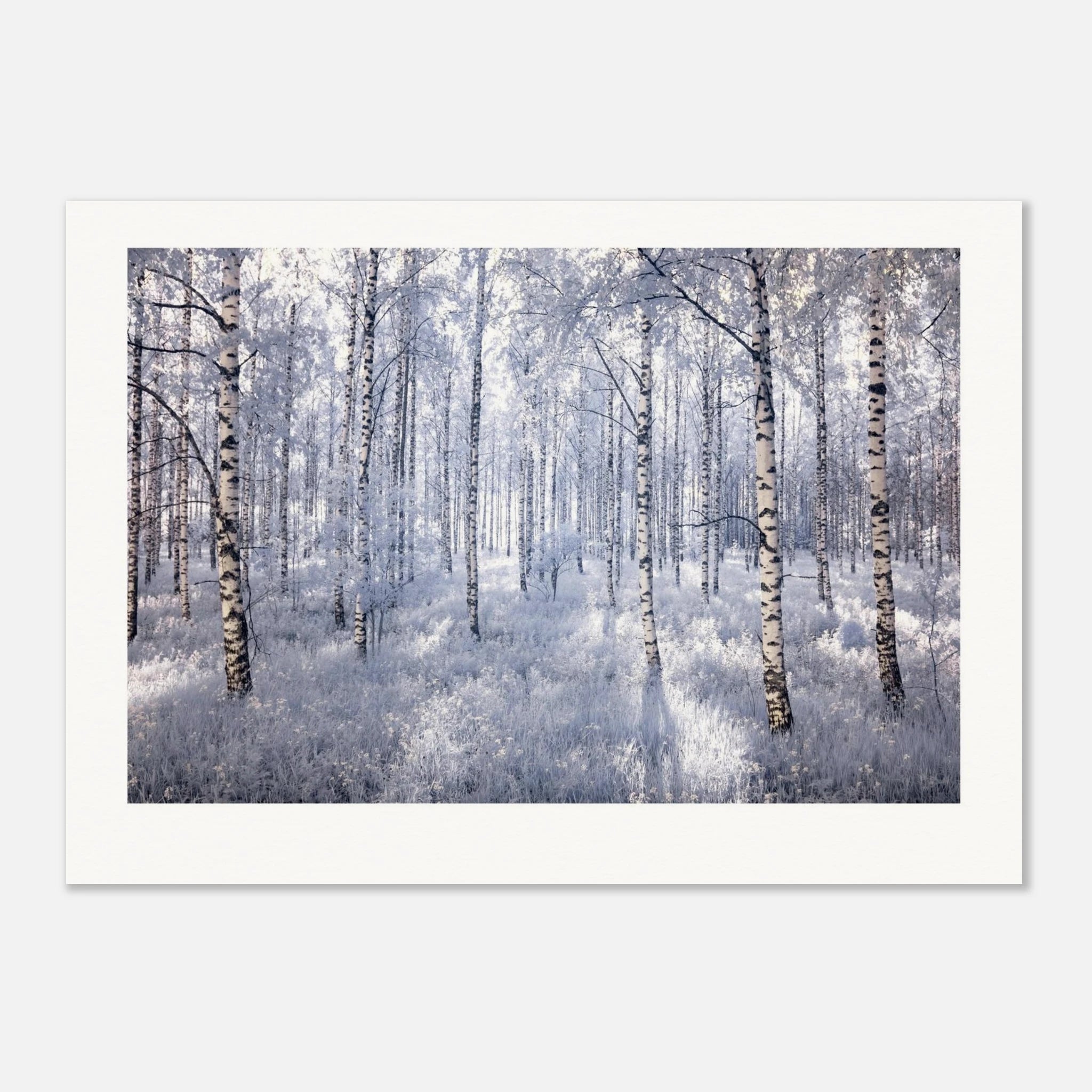 71b4f97f-38b3-48da-80c8-cb8039ed6549