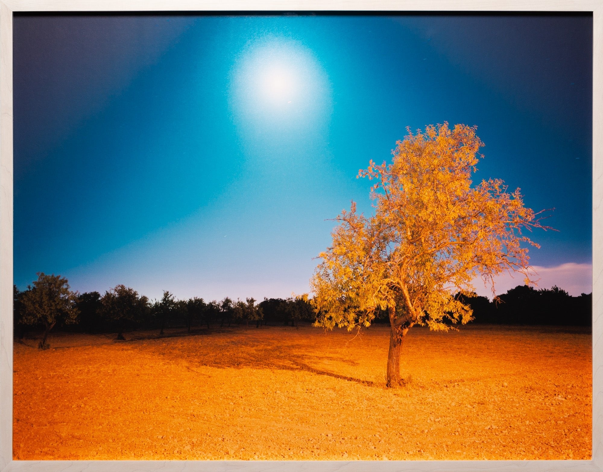 TWO CHARACTERISTICS, SPAIN