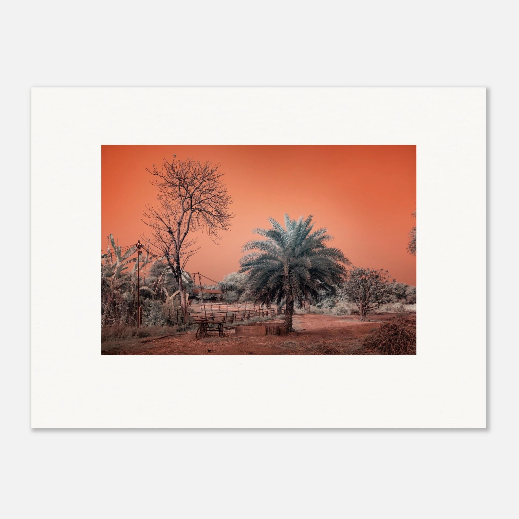 bfb0f125-0e18-4120-b160-14175ae3fc07