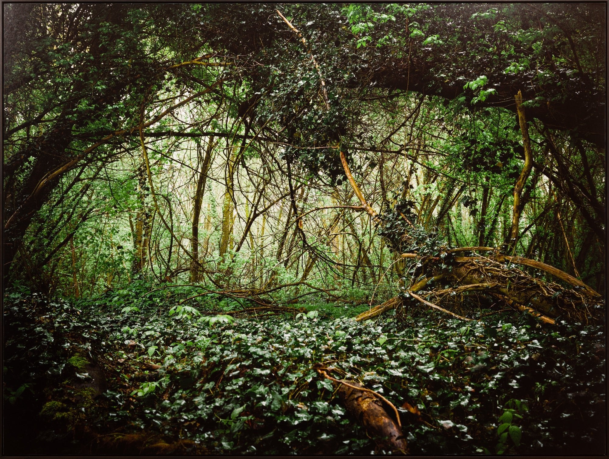 RADHA RAMAN ECSTASY, INDIA