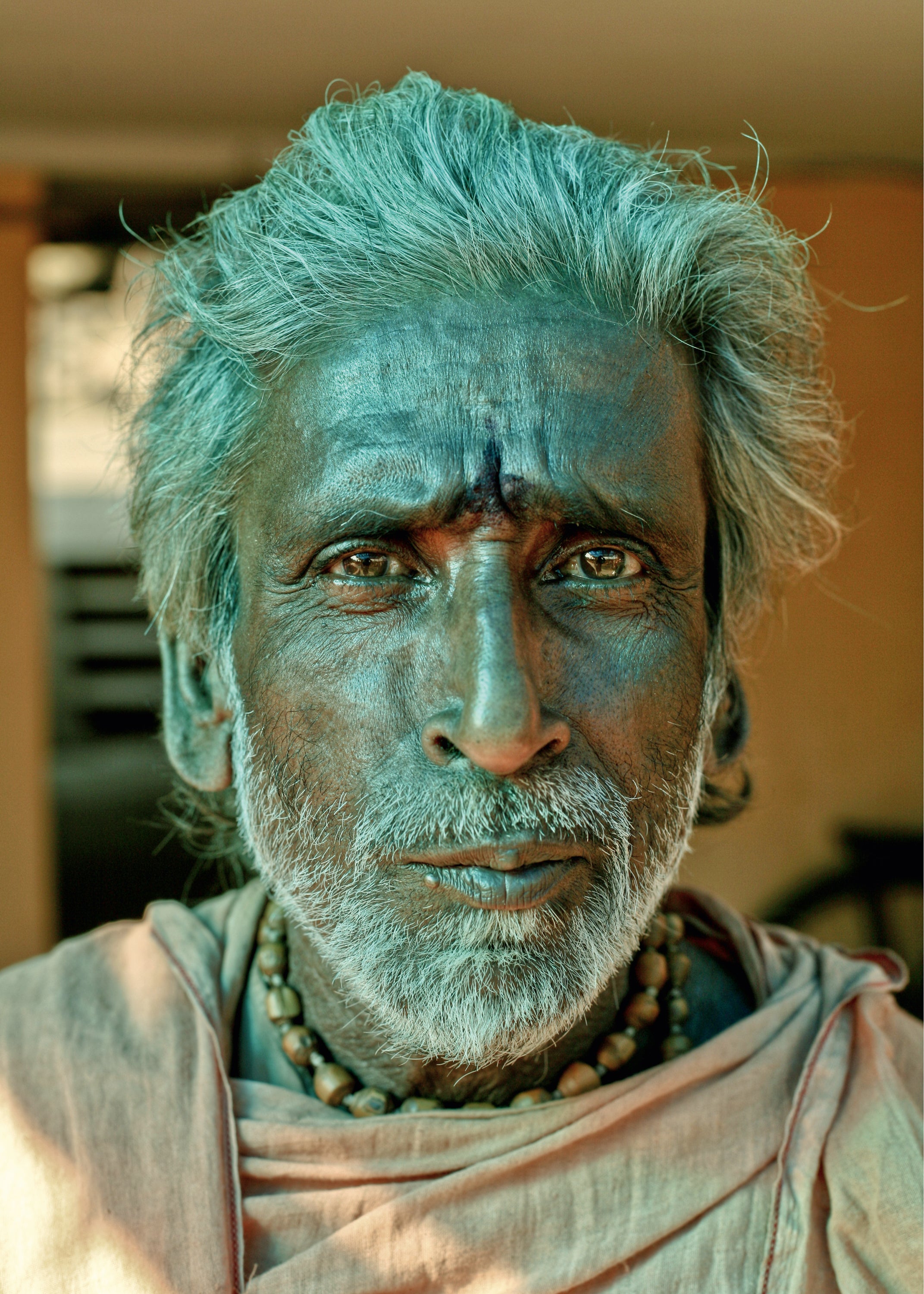 A sadhu from Navadvip, West Bengal #1/8