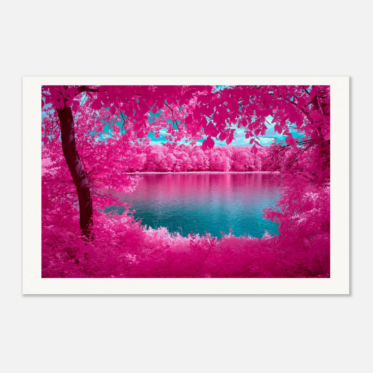 The Mirror Of Nature