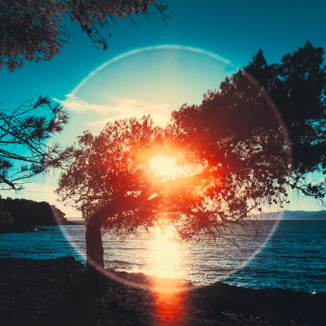 10-06-2023_repros-053-2__PID:74849839-2d00-4af5-8ec7-54d8f6a55500