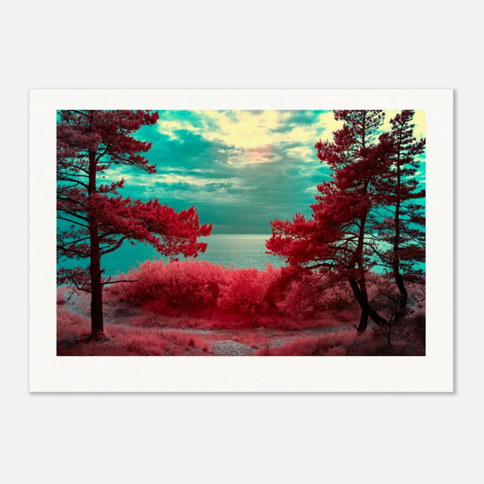 22570ede-d51a-4e5a-9af0-118035ac50e0