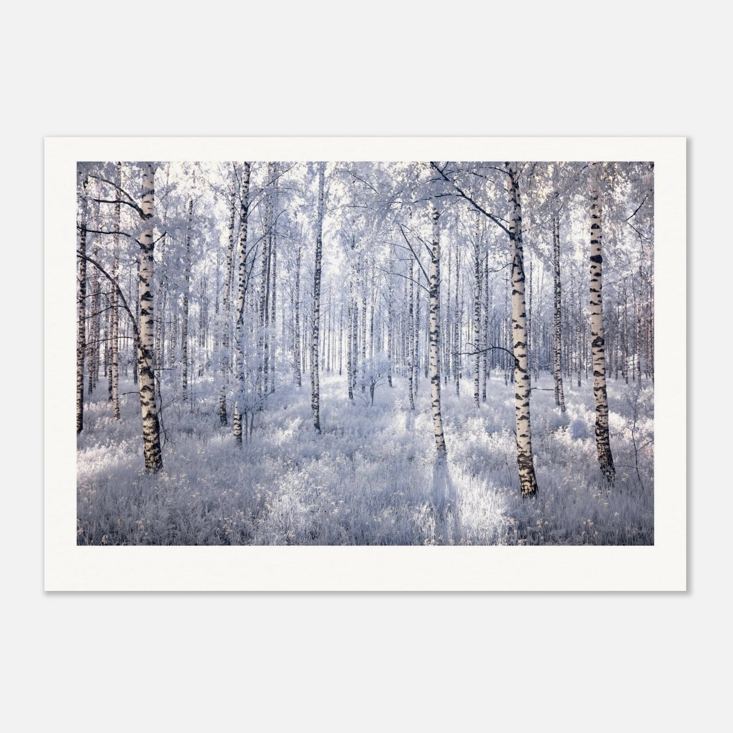 2d853871-e8be-45cc-86e3-4dab56850b2f