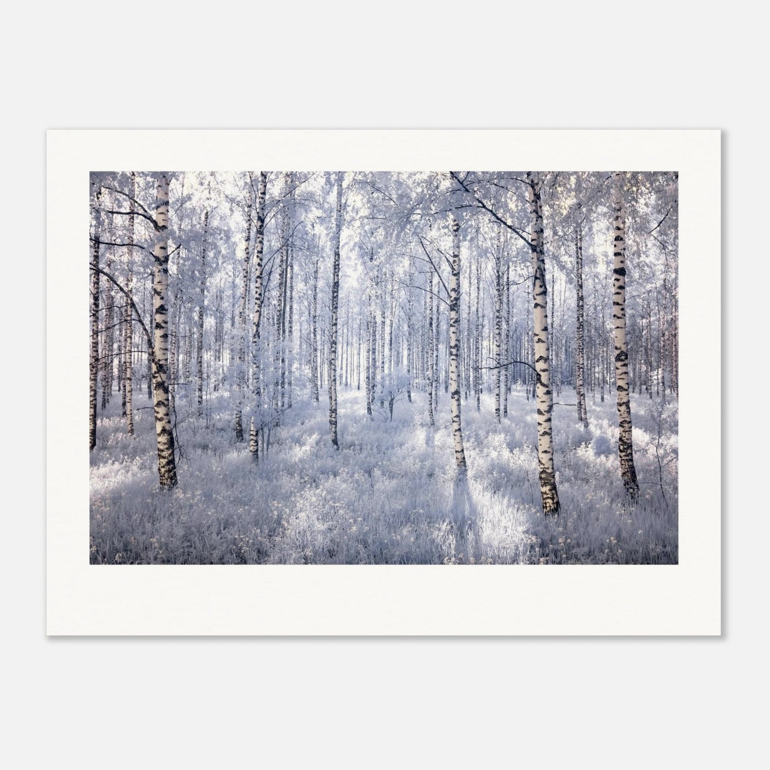 2f256740-cb7f-492f-99ff-c9e309bd3b33