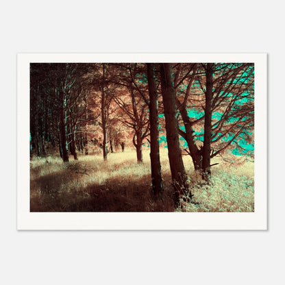 Where Light Rests
