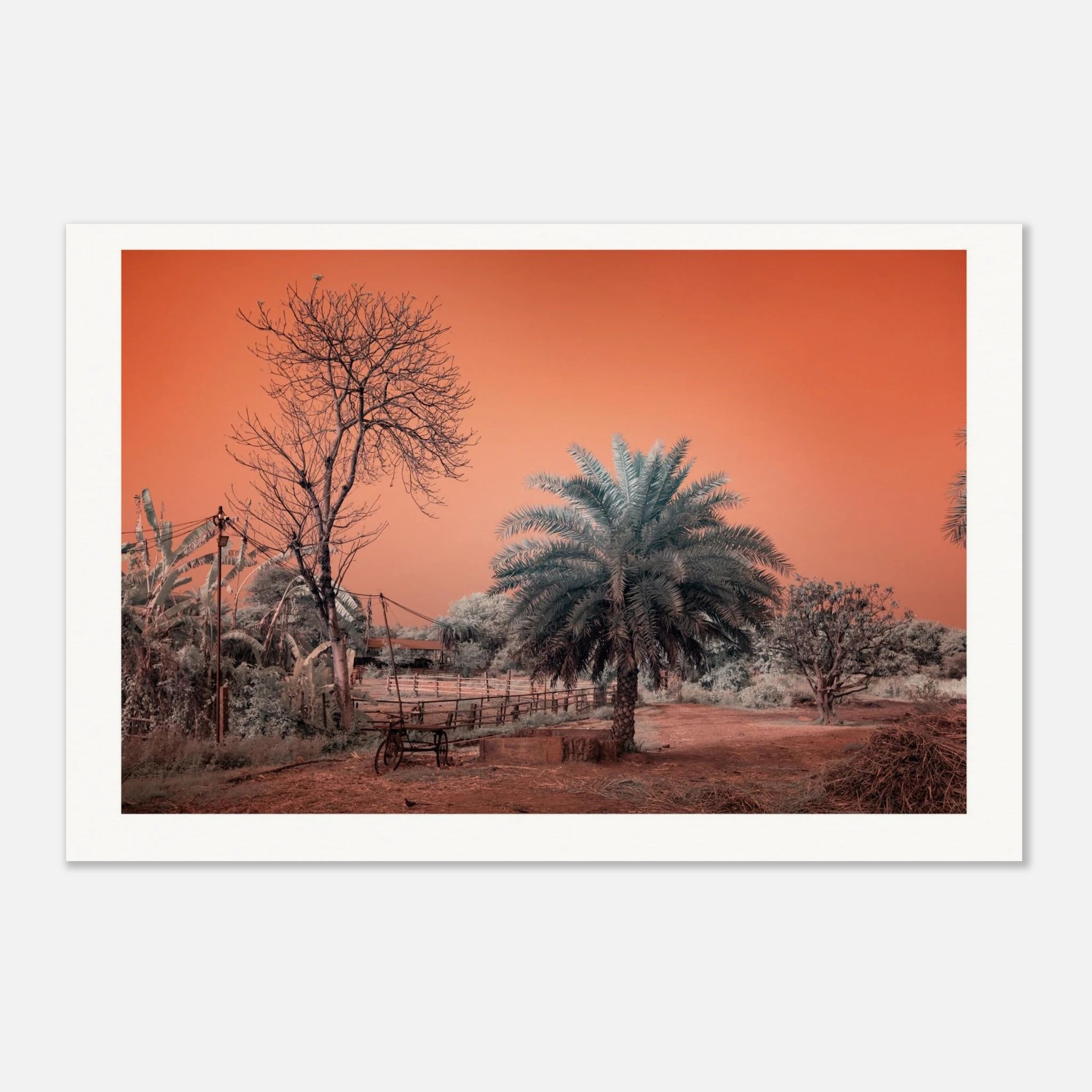 4272034c-54f2-4f2c-9609-9336b0c57e14