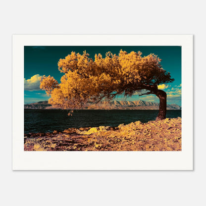 4b3ead14-0d05-4490-afdf-b4bca49ce6fa