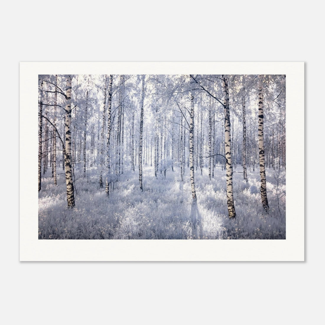 5ccba5e6-7182-4515-8dce-3489a78fc7a0