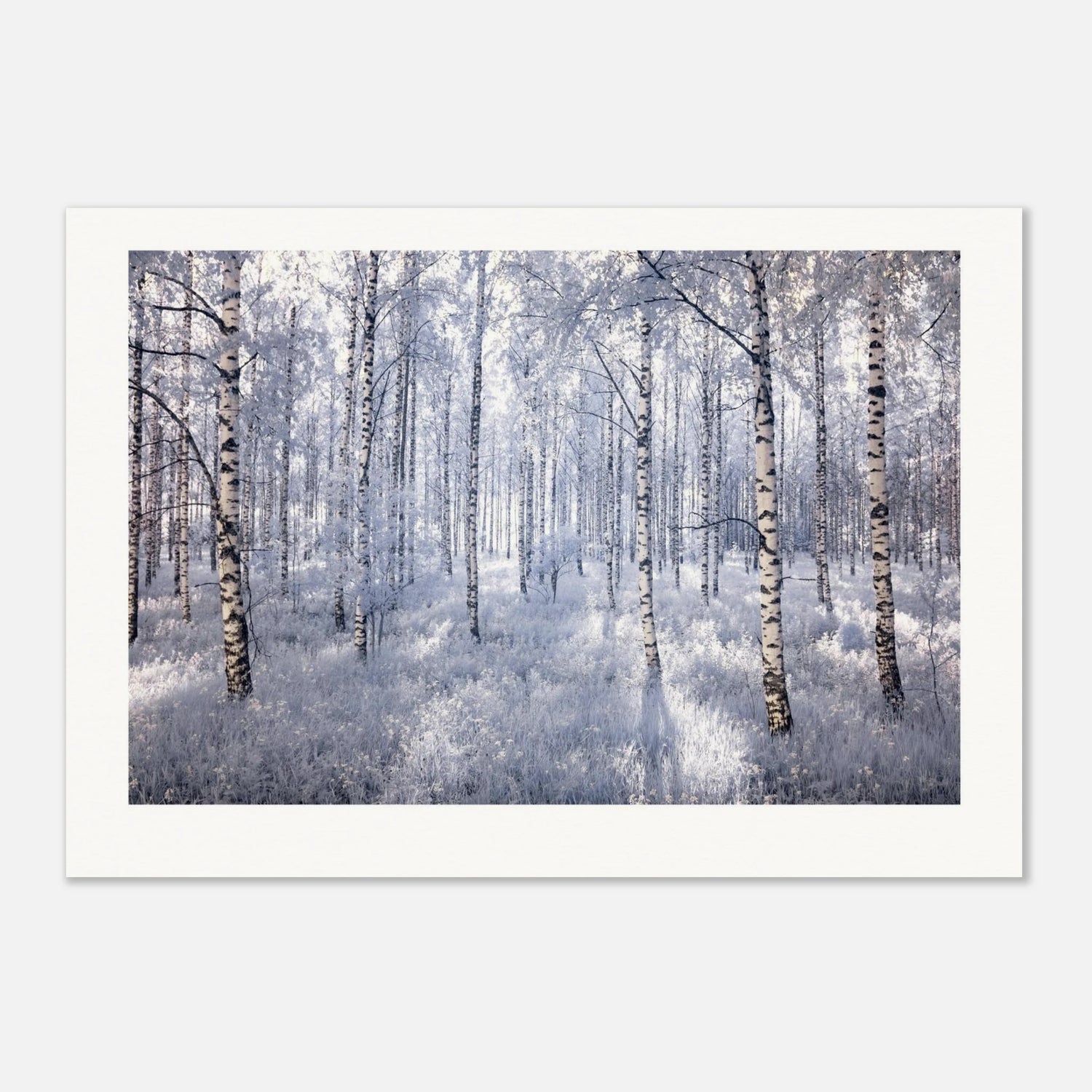 5ccba5e6-7182-4515-8dce-3489a78fc7a0