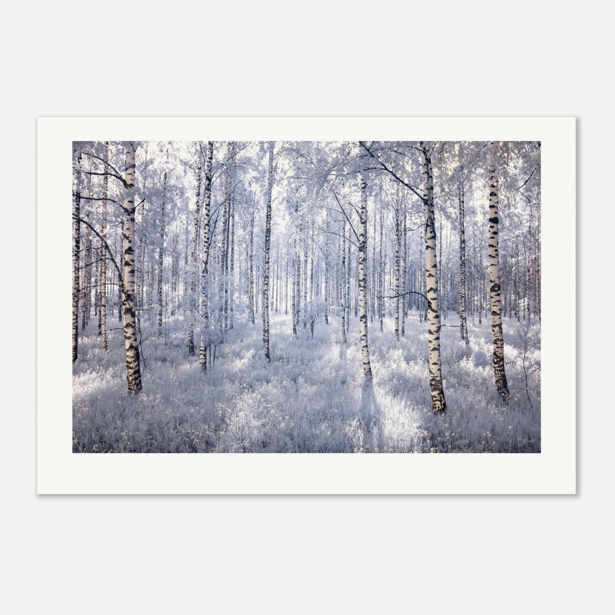 5ccba5e6-7182-4515-8dce-3489a78fc7a0