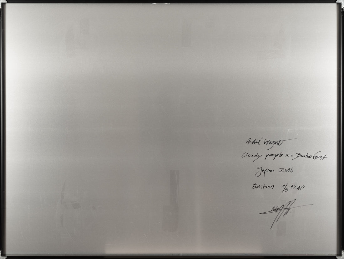 CLOUDY PEOPLE IN A BAMBOO FOREST, JAPAN