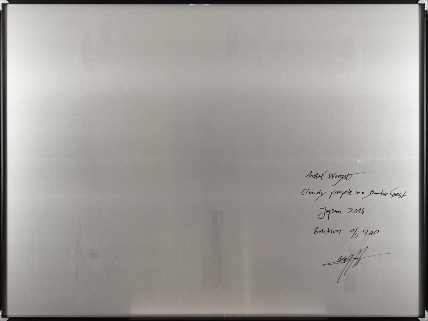 CLOUDY PEOPLE IN A BAMBOO FOREST, JAPAN