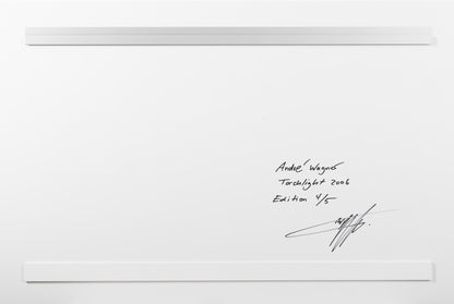 TORCHLIGHT, NEUSEELAND