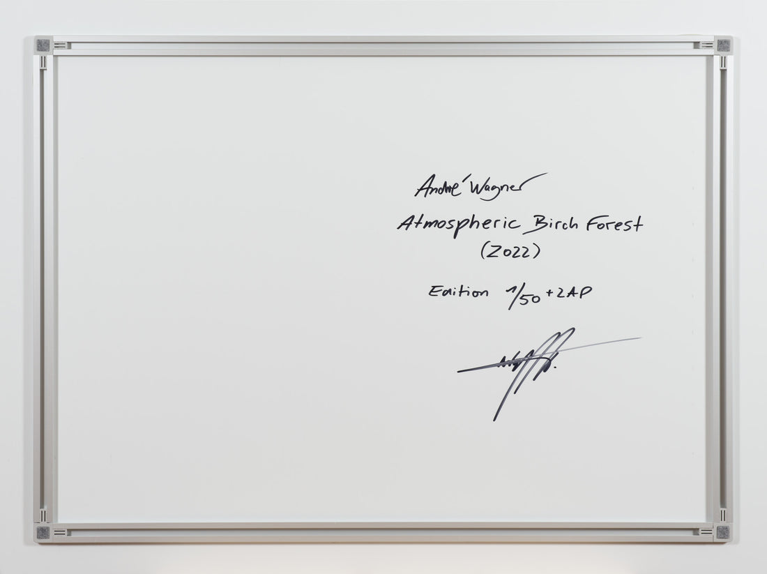 ATMOSPHERIC BIRCH FOREST, FINNLAND