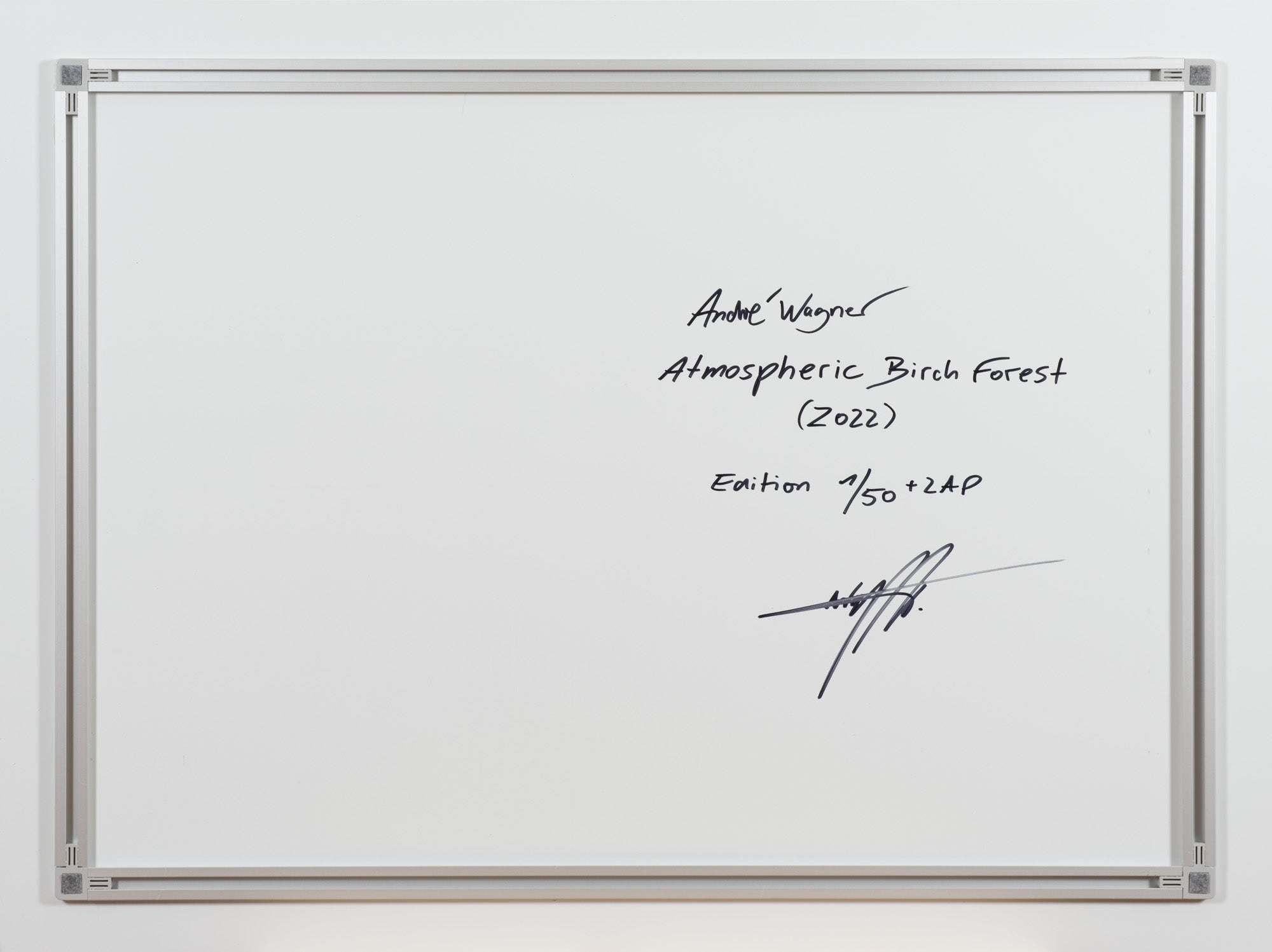 ATMOSPHERIC BIRCH FOREST, FINNLAND