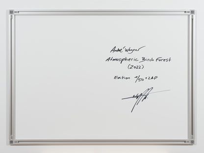 ATMOSPHERIC BIRCH FOREST, FINNLAND