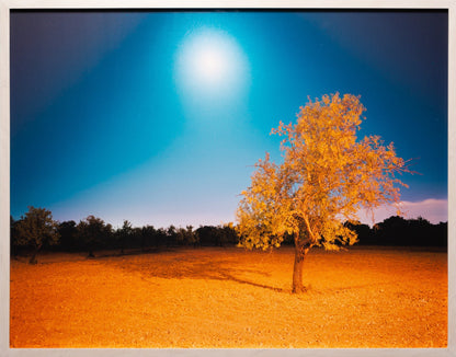 TWO CHARACTERISTICS, SPAIN