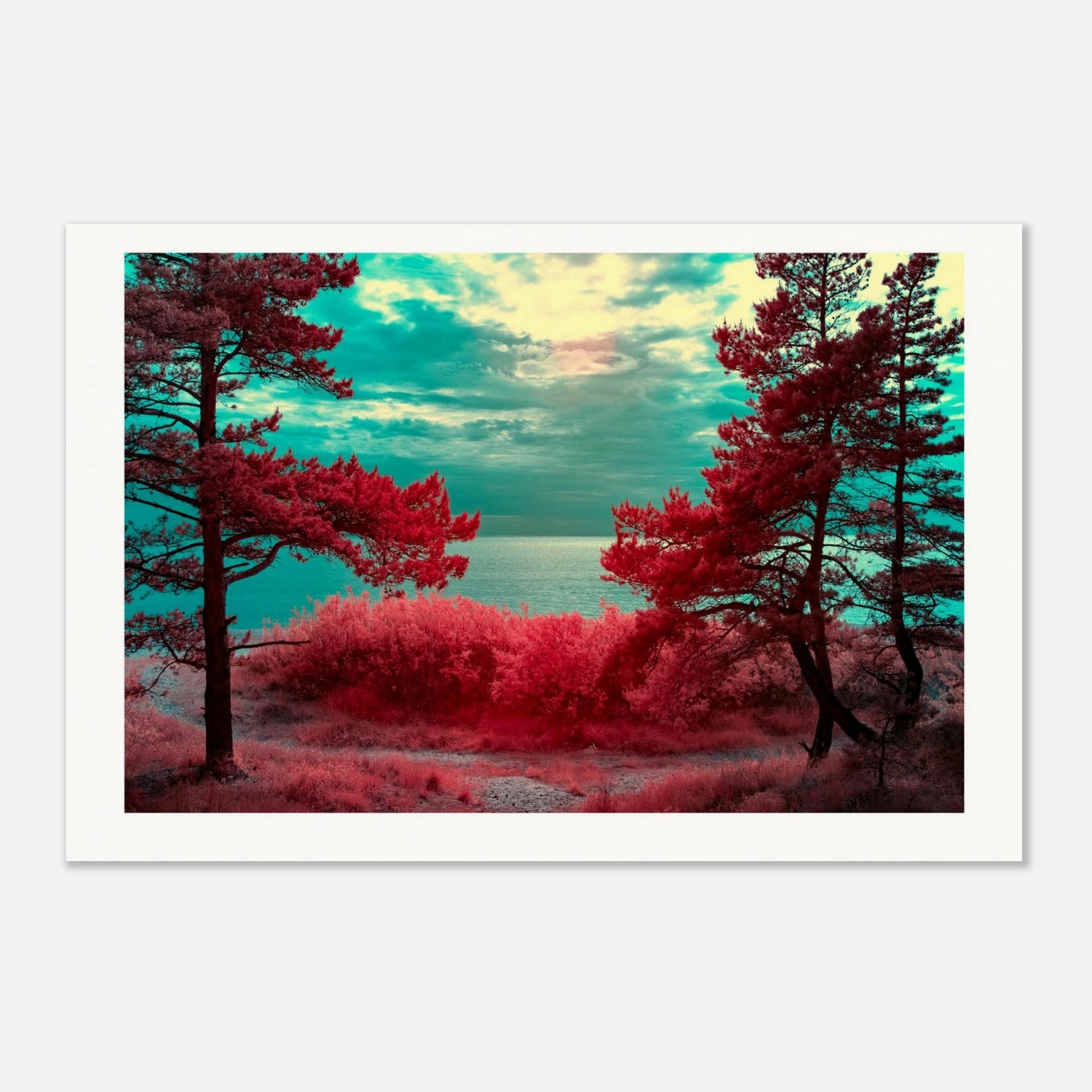 a4561155-bef5-4603-bc05-0e0880768bfd