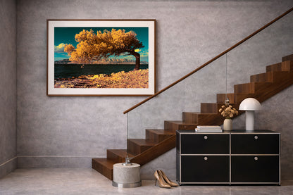 a83d1d78-3b24-46ae-b357-5f3505fa79ae