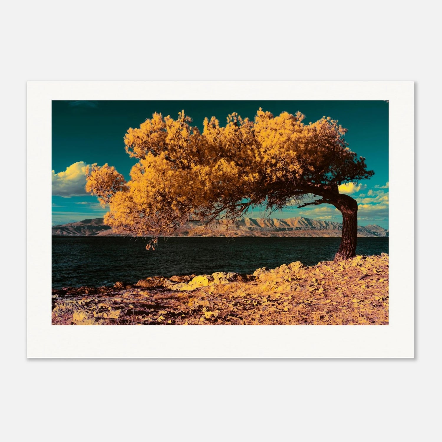 b4debc12-e8c5-43a1-8eb0-284f2b4f3c2d