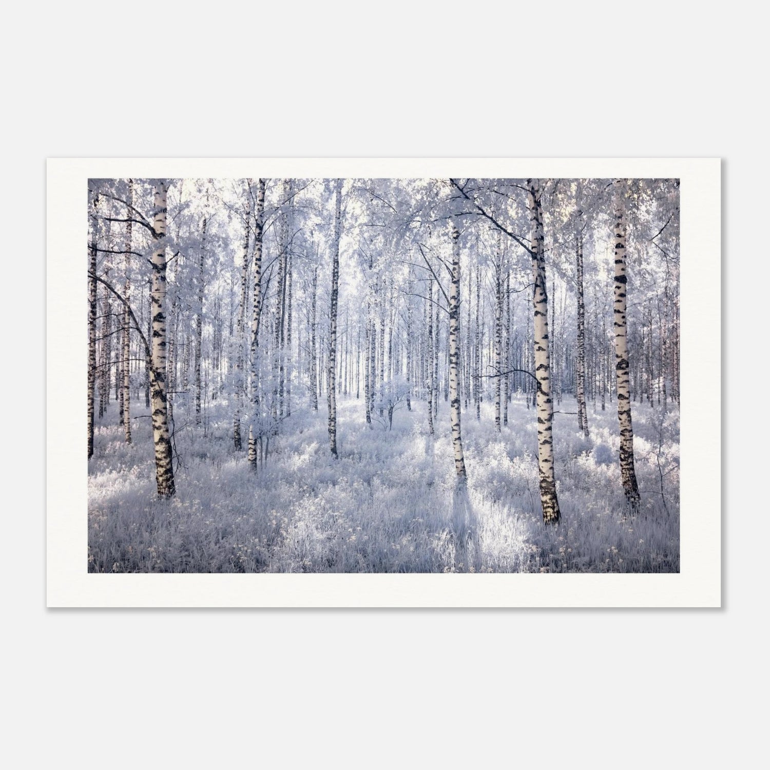 f22b6733-0902-4911-837a-667ecf941ae4