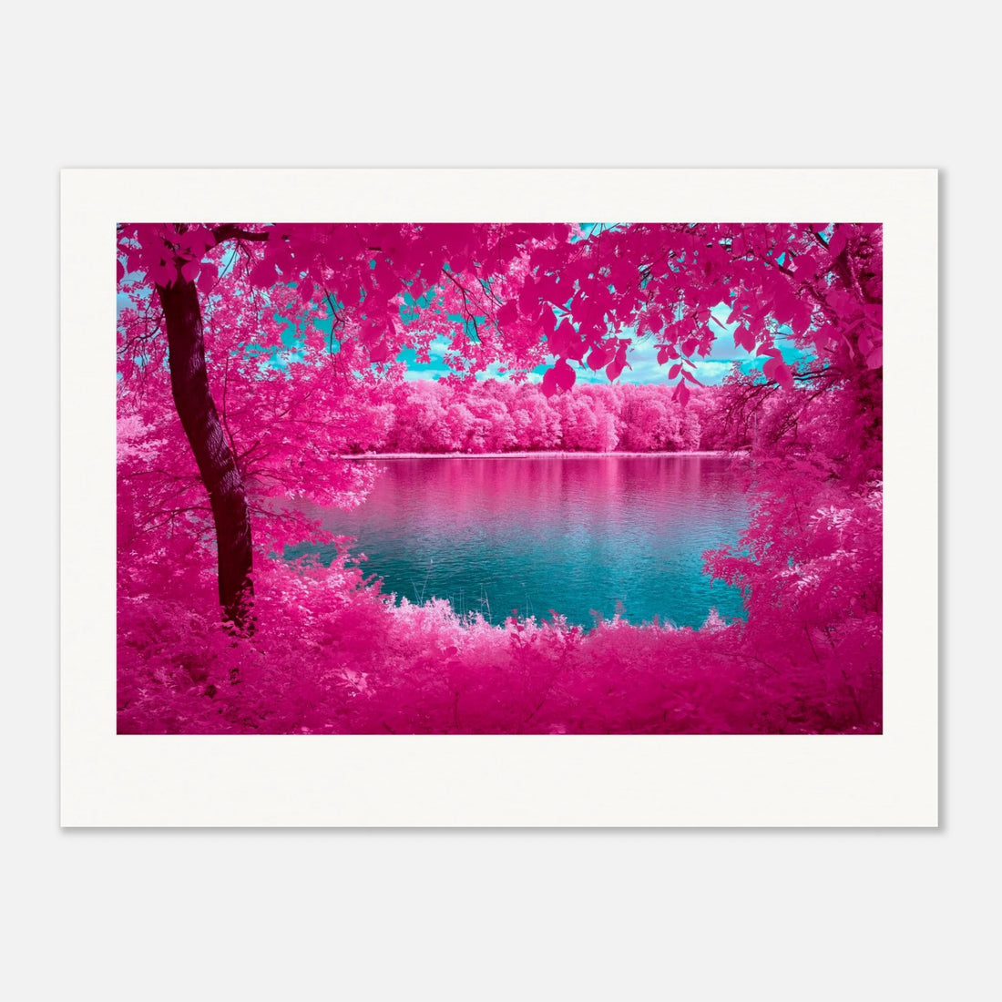 The Mirror Of Nature