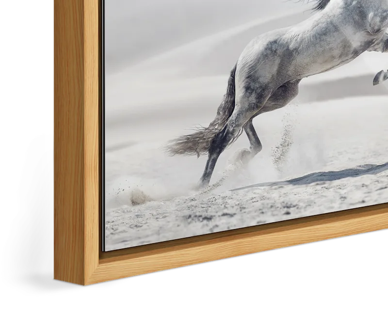 Sheikh Zayed Mosque, Abu Dhabi — Framed Stillness · Limited Edition
