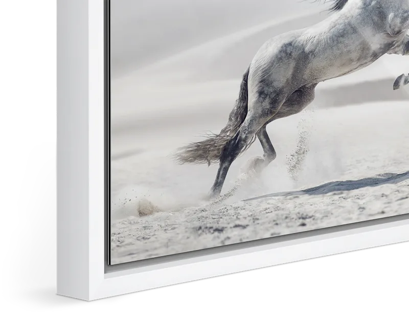 Sheikh Zayed Mosque, Abu Dhabi — Framed Stillness · Limited Edition
