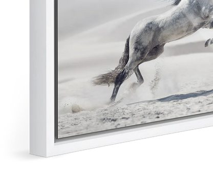 Sheikh Zayed Mosque, Abu Dhabi — Framed Stillness · Limited Edition