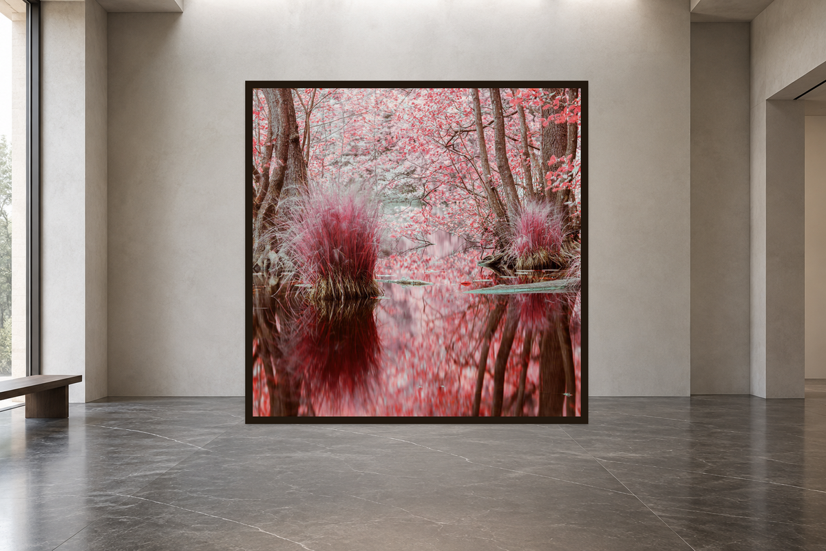 INFRARED BLACKFOREST 1, GERMANY 