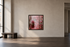 INFRARED BLACKFOREST 1, GERMANY 