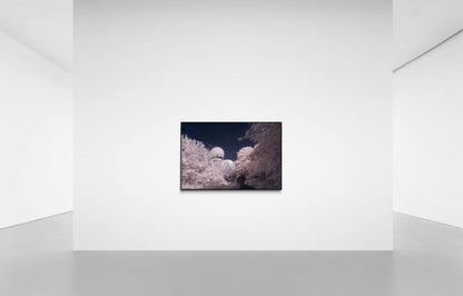 ECHOES FROM TEUFELSBERG, DEUTSCHLAND