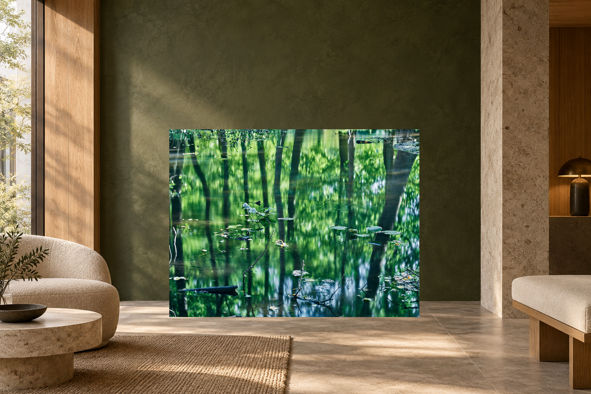 REFLECTIONS IN THE FOREST, GERMANY