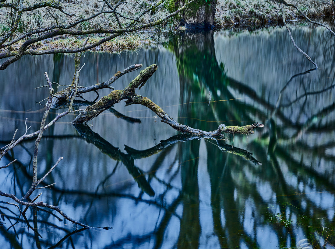 OASIS OF SILENCE 3, SCOTLAND