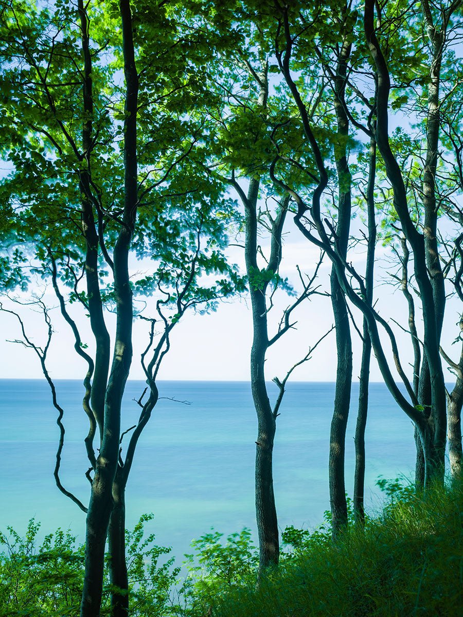 BERLIN HALF MARATHON, LEIPZIGER STRASSE II, GERMANY