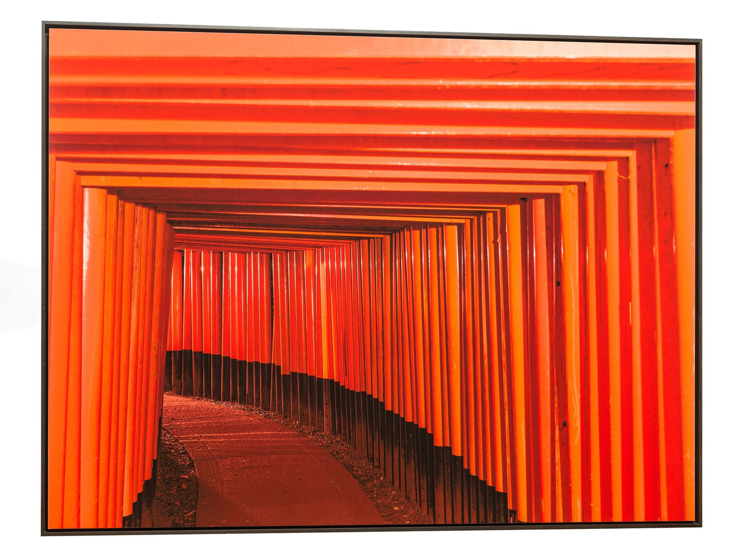 FUSHIMI INARI-TAISHA 5, JAPAN