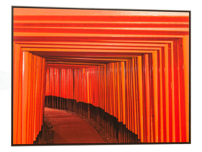 FUSHIMI INARI-TAISHA 5, JAPAN