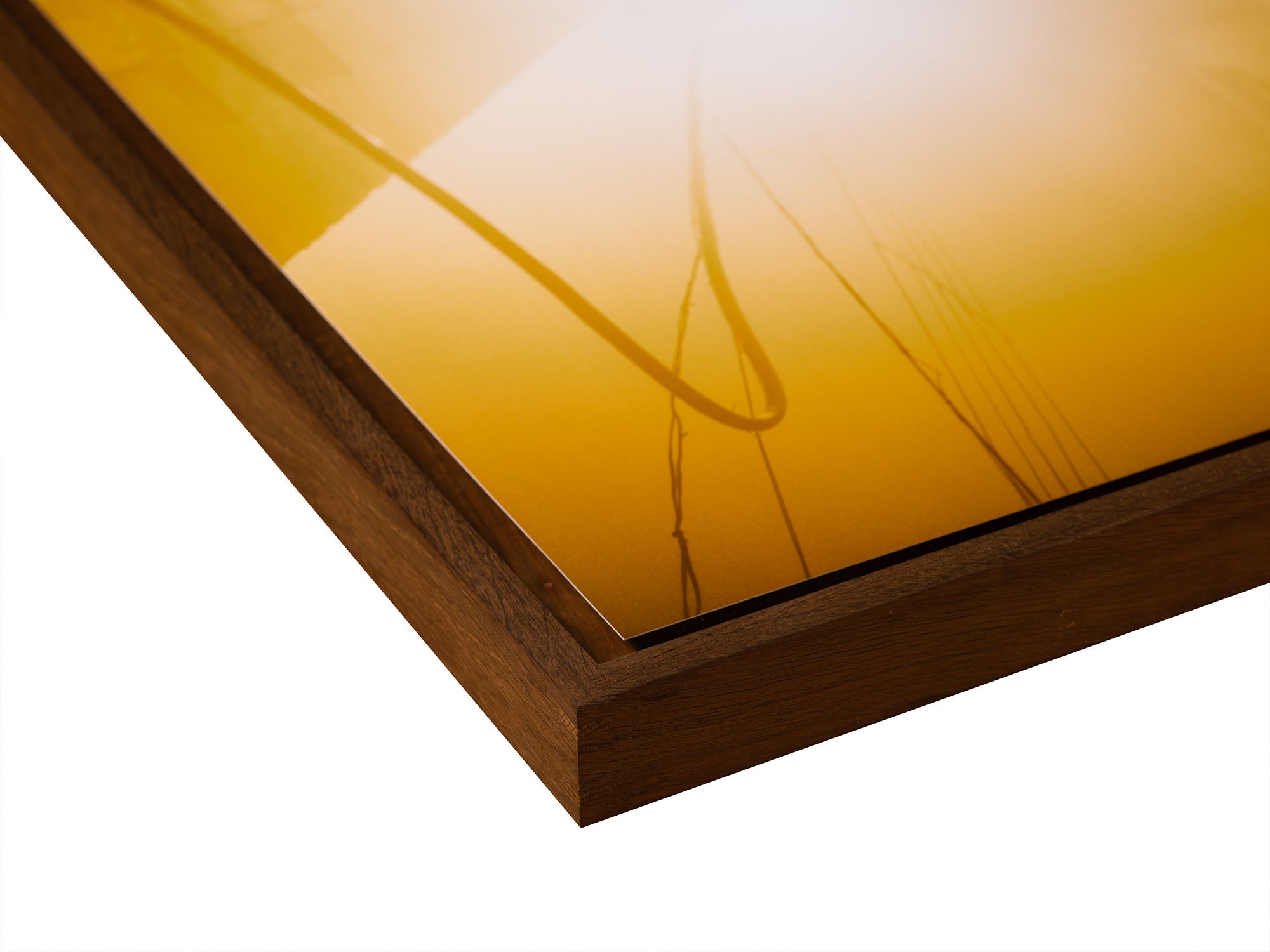 MORNING WALK, INDIEN