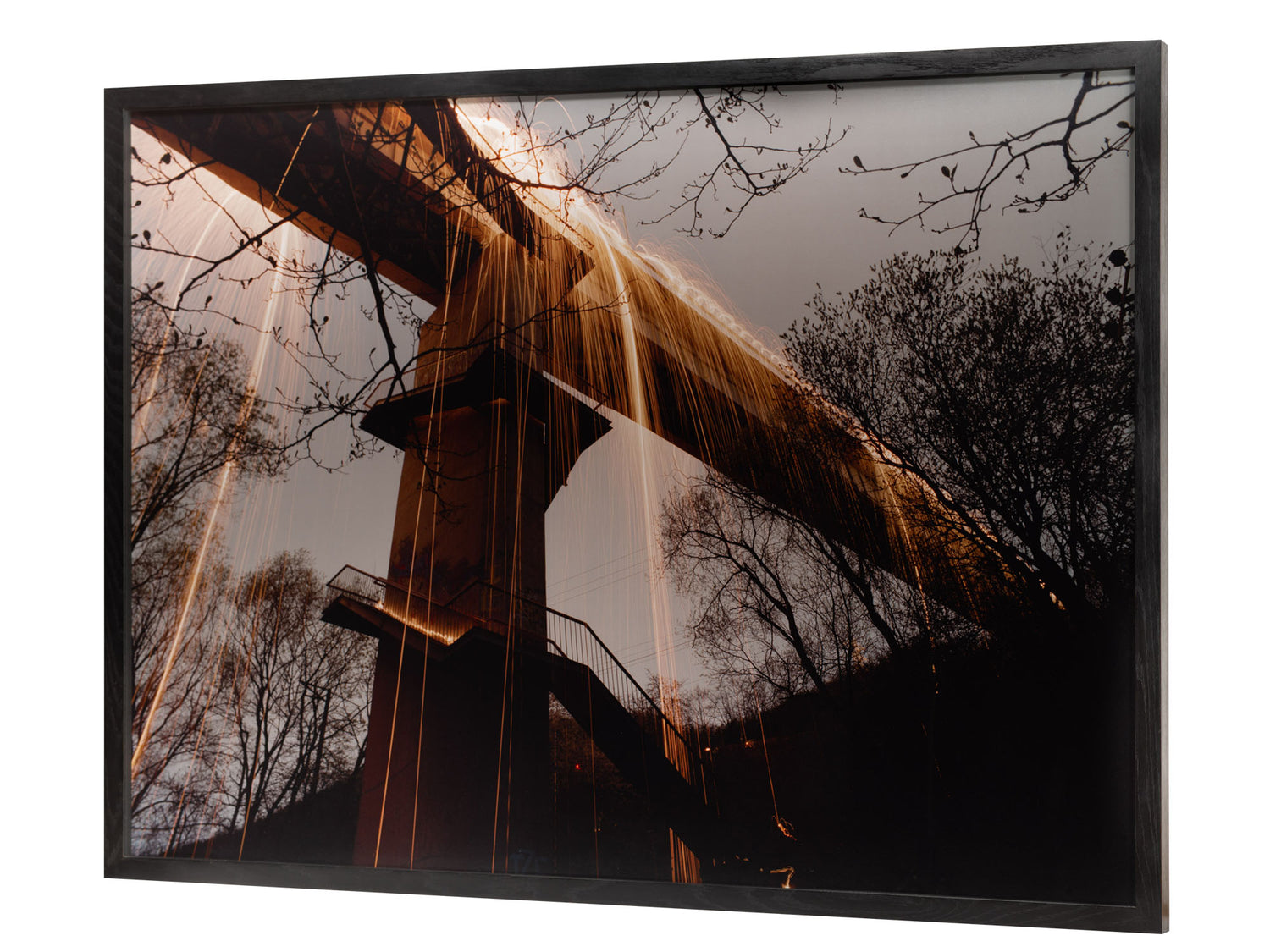 GOLDEN RAIN, LITHUANIA