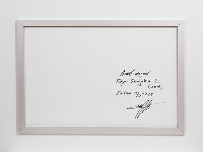 RADHA RAMAN ECSTASY, INDIA