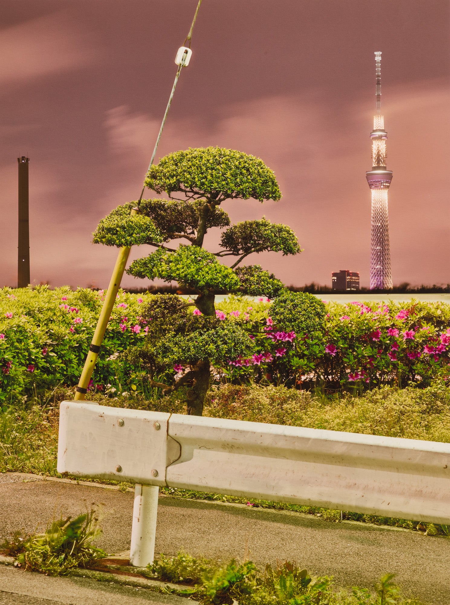 RADHA RAMAN ECSTASY, INDIA