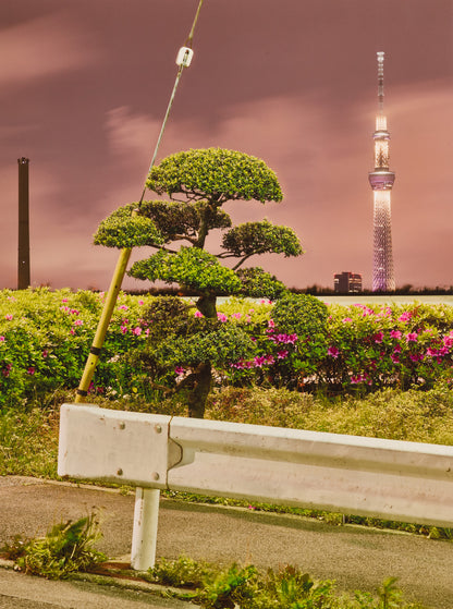 RADHA RAMAN ECSTASY, INDIA