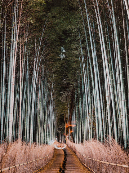 RADHA RAMAN ECSTASY, INDIA