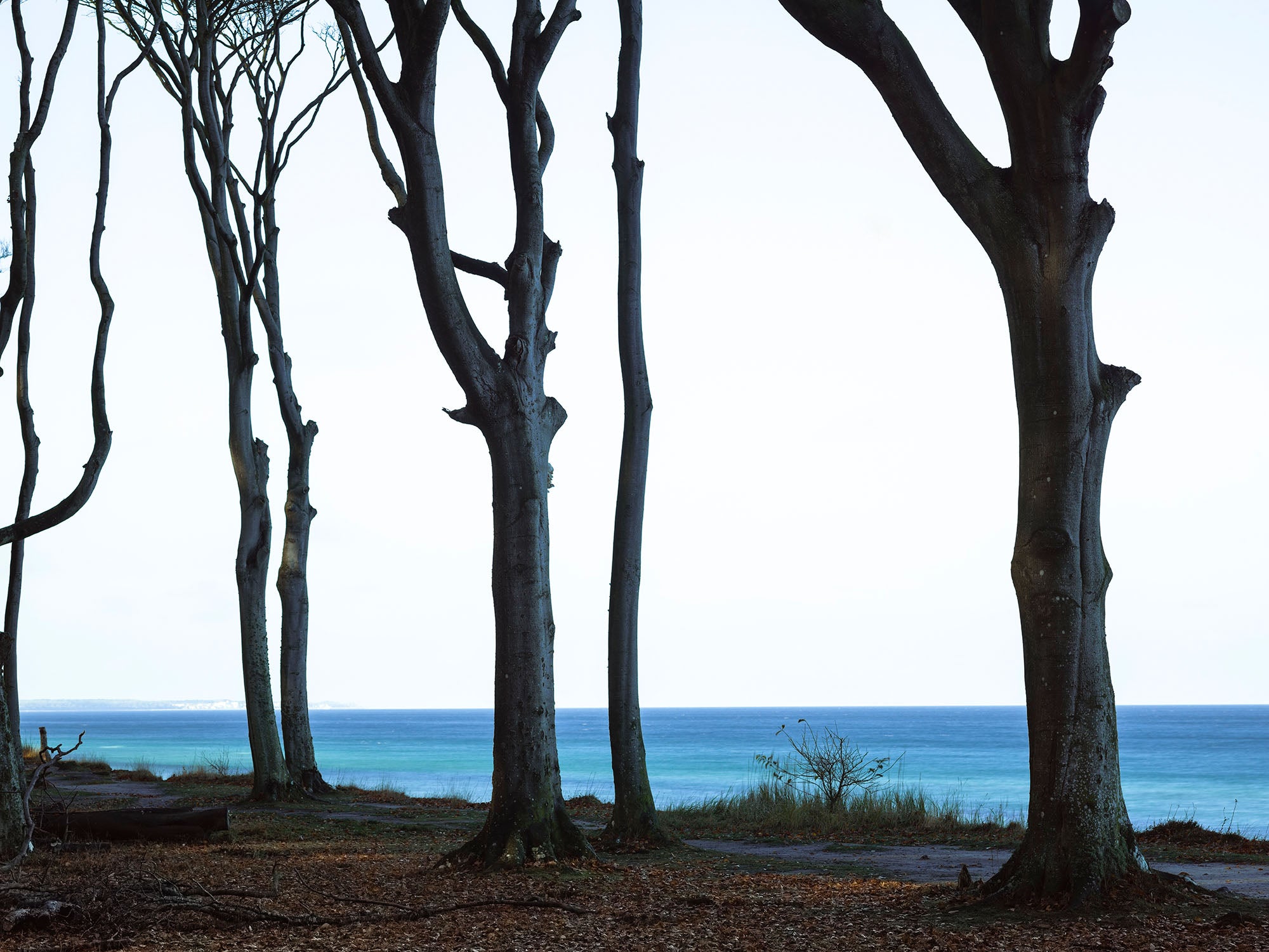 HARLEKINE IM WIND, DEUTSCHLAND