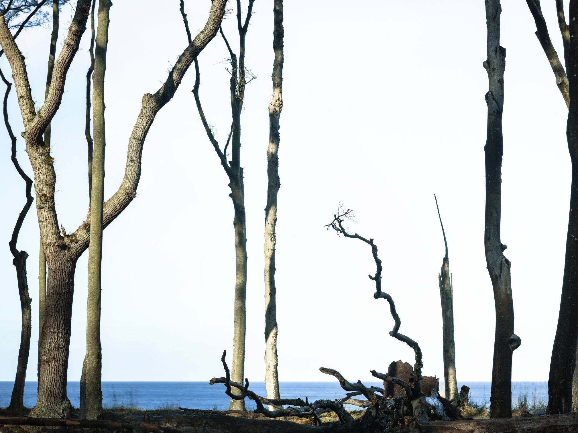 HARLEKINE IM WIND 2, DEUTSCHLAND