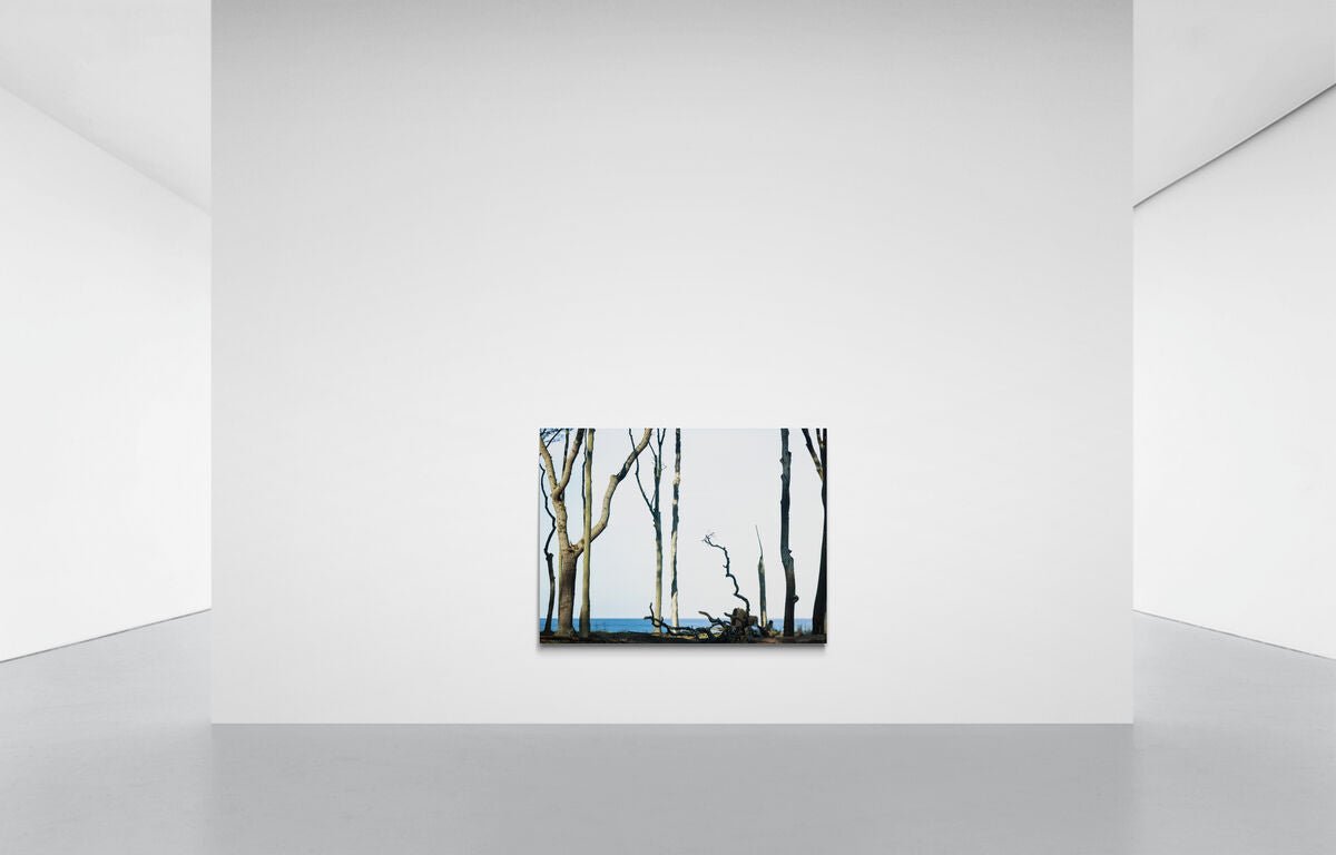 HARLEKINE IM WIND 2, DEUTSCHLAND